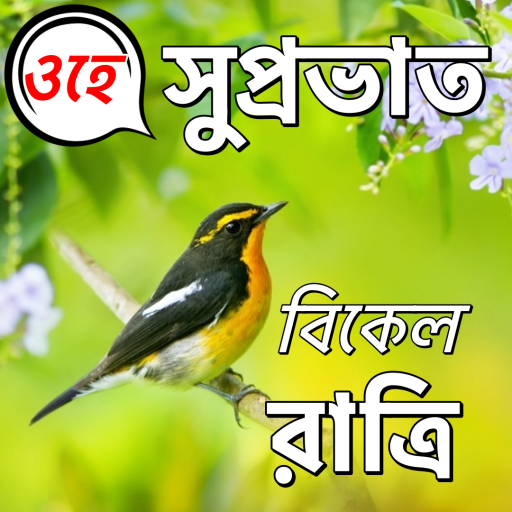 Bengali Good Morning to Night