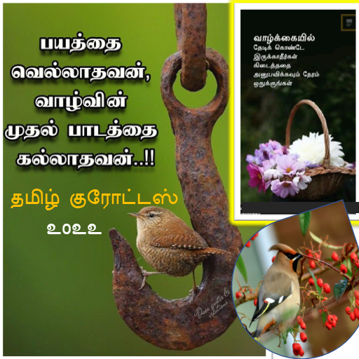 3000+ Tamil Quotes Guru