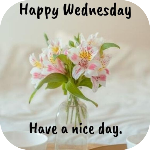 happy wednesday images