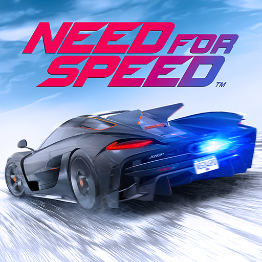 Need for Speed: NL Racing