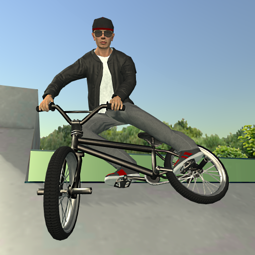 BMX FE3D 2