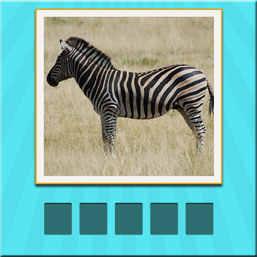 Animals Quiz guess and learn