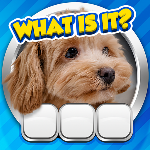 Guess it! Zoom Pic Trivia Game