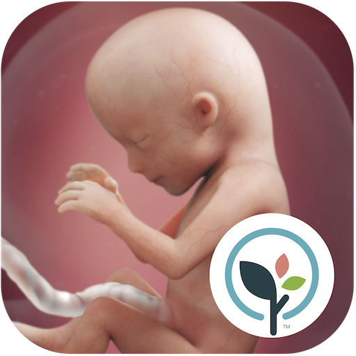 Pregnancy App & Baby Tracker