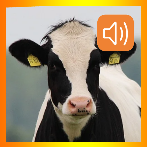 Cow Sounds App