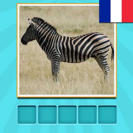 Animaux Quiz