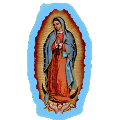 virgen de Guadalupe