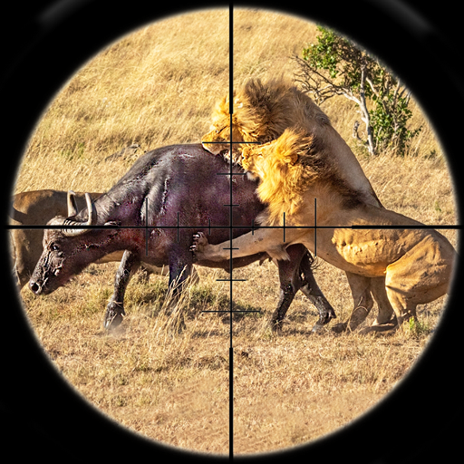 Animaux Chasse Jeux D Pistolet